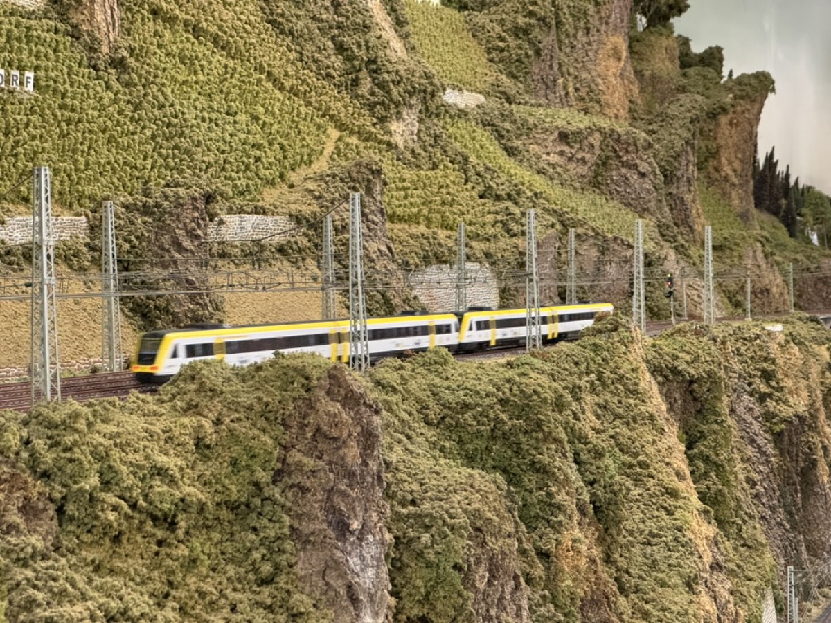 Foto von Malte: gelb-weißer Triebwagen an einem bewachsenen Felshang